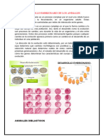 Desarrollo Embrionario de Los Animales