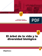 Clase El Arbol de La Vida y La Diversidad Biológica