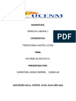 Informe Proyecto Laboral