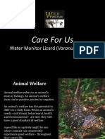 Care For Us Monitor Lizard - Compressed 1