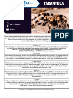 Tarantula Care Sheet - Use