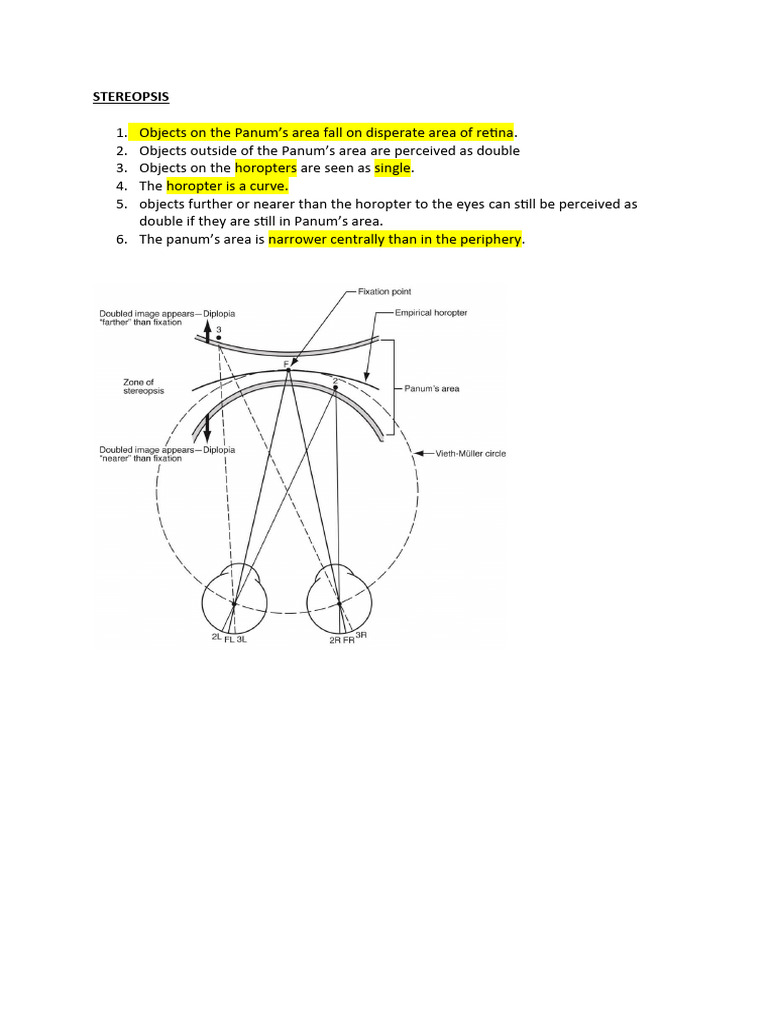 STEREOPSIS PDF