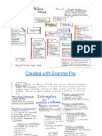 Mapa Mental Scan