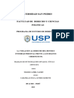 Proyecto de Investigacion Usp