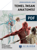 Temel İnsan Anatomisi