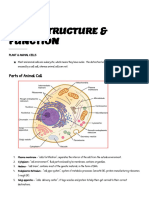 Cells Basic Function & Structure