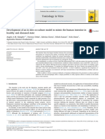 Development of An in Vitro Co-Culture Model To Mimic The Human Intestine