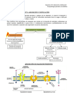 Esquema Fipa Ut3