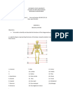 (Template) EXERCISE 6 - SKELETAL SYSTEM