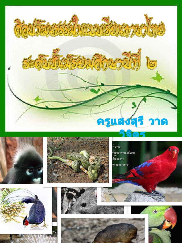 TH6 | PDF