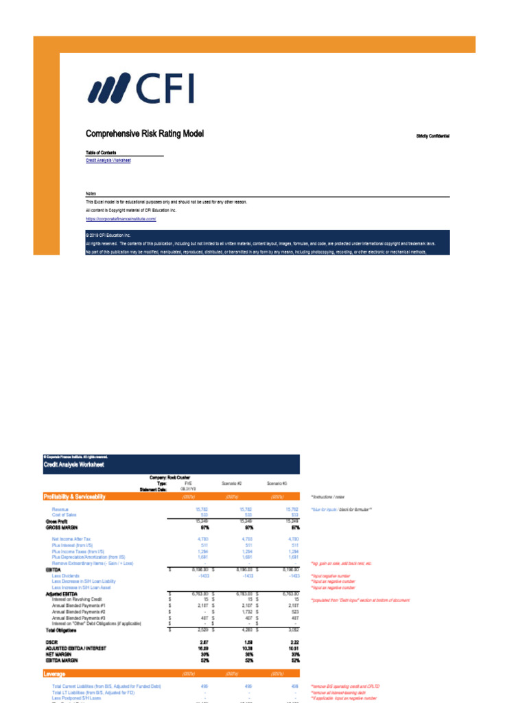 Risk Rating Model - Blank | PDF | Debt | Loans