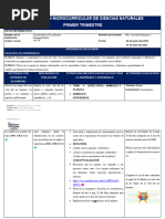 4to A CCNN - 1er - Trimestre