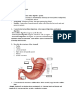 DU - Digestive System Ivana Majovska