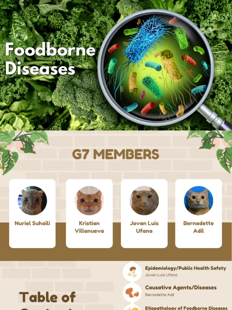 Food Borne Diseases | PDF | Epidemiology | Foodborne Illness