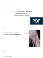 SPOTTERS Lower Limb