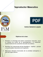 FO - 5 - Reproductor Masculino - PDF