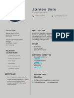 Professional Modern CV Resume For VCD UC