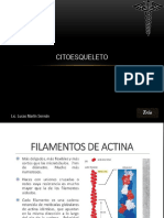 Acad Clase 03-Citoesqueleto II - Lucas 2021-Resumen Gráfico