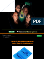 Forensic DNA Fingerprinting Using Restriction Enzymes