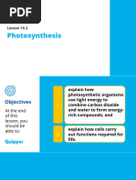 Earth and Life Science SHS 16.2 Photosynthesis