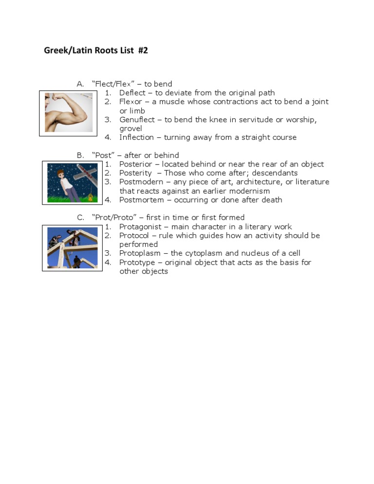 Greek/Latin Roots: Flect, Post, Proto | PDF