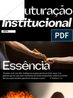 Estruturação Institucional