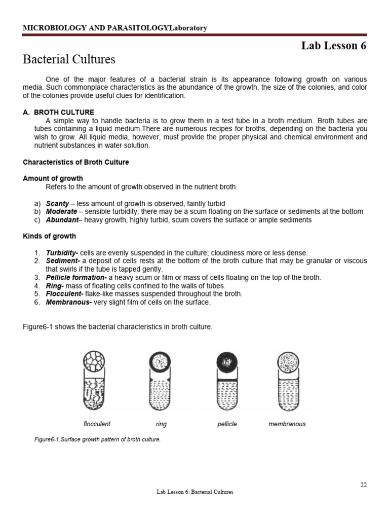 Bacterial Growth Patterns in Culture | PDF | Growth Medium | Bacteria