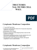 L11 - Cell Membrane