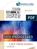 Biology-Life Processes