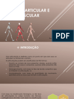 Sistema Articular e Muscular