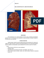 Abcesul Pulmonar