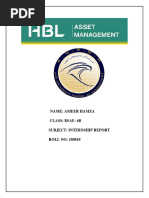 Internship Report (HBL AMLC)