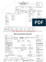 Biology Flow Chart