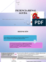 Insuficiencia Renal Aguda