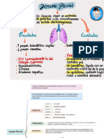 Liquido Pleural