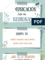 Comunicacion de Las Neuronas