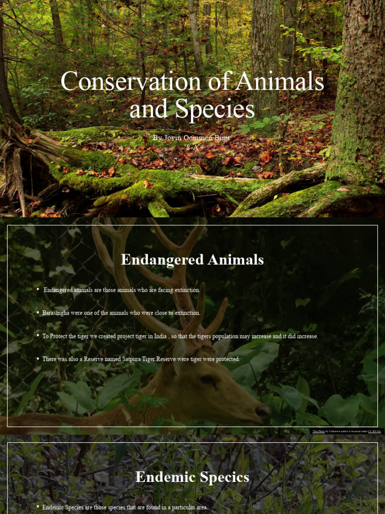 Conservation of Animals and Spieces | Download Free PDF | Tiger ...