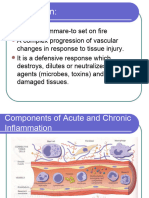 Inflammation