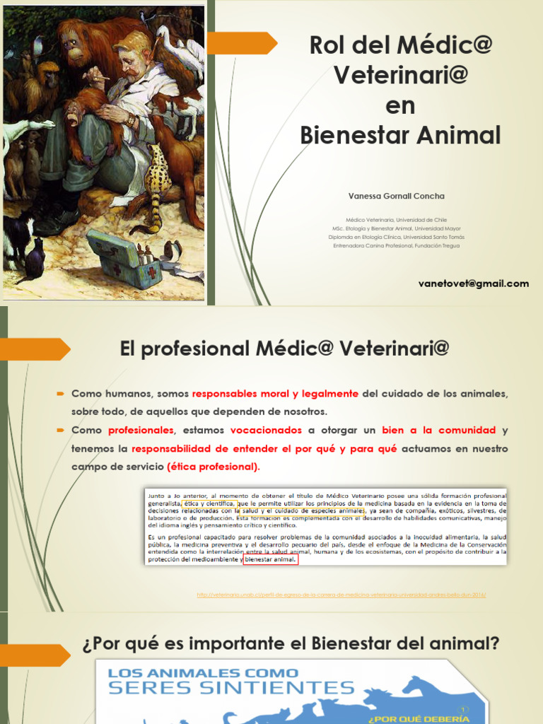 Rol Del Médico Veterinario en El Bienestar Animal | PDF | Bienestar de ...
