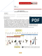 Trabajo PDF