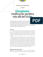 Modificación Genética Más Allá Del Núcleo: Cloroplastos