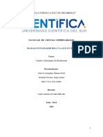 Trabajo Integrador Canales y Estr. de Distribución