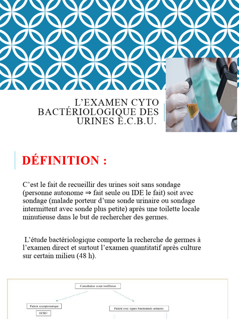 ECBU PDF Infection urinaire Urine