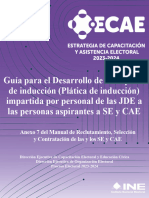 07 - Anexo 07 Guía Desarrollo Cápsula-Plática de Inducción