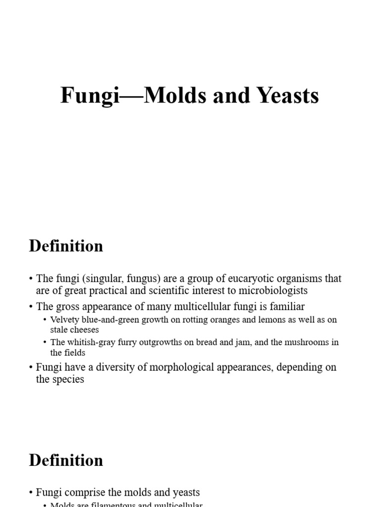 L21 - Fungi-Molds and Yeasts | PDF | Fungus | Mold