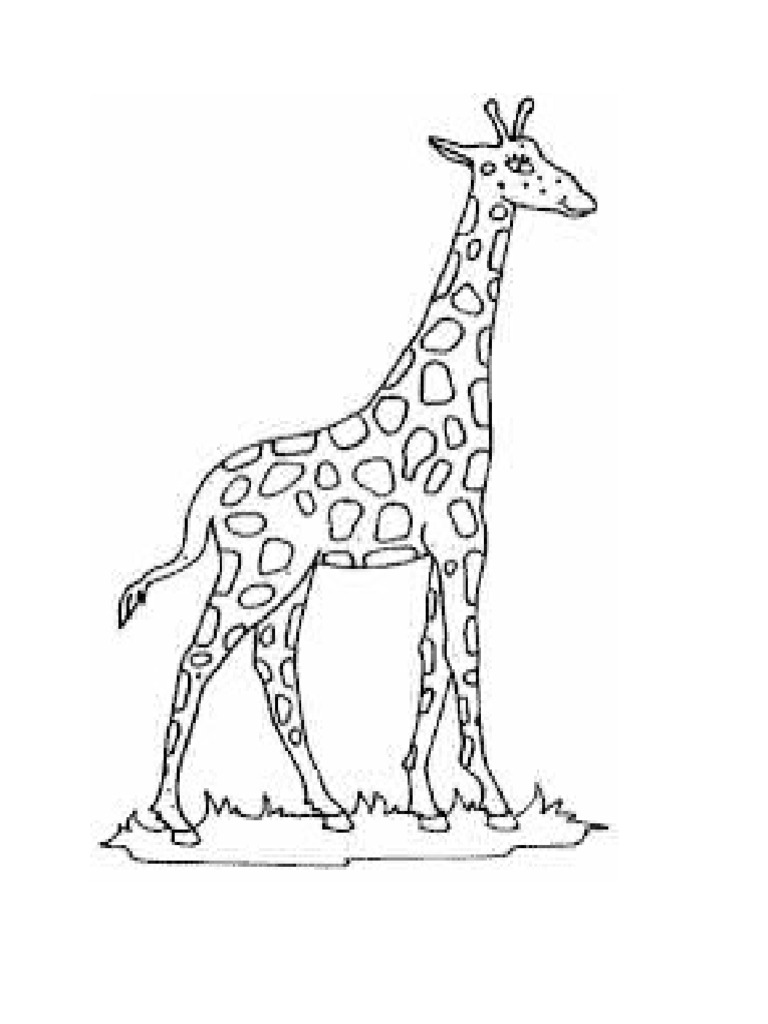 Jerapah pdf