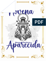 Novena Nossa Senhora Aparecida Setores