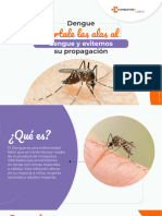Cartilla Dengue