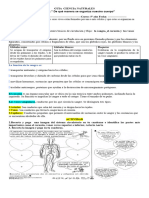 CIENCIAScirculatorio 5°