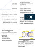 Repaso Fisio Vege Parcial 1